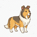 Collie