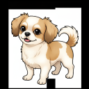 Mix: Chihuahua x Shih Tzu