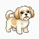Mix: Shih Tzu x Terrier