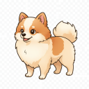 Pomeranian Mix
