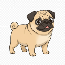 Pug