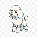 Poodle