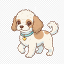 Mix: Poodle x Chihuahua