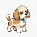 Mix: Poodle x Terrier