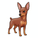Miniature Pinscher