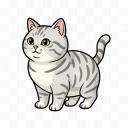American Shorthair