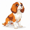 Cavalier King Charles Spaniel