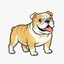 Bulldog