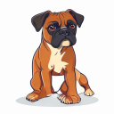 Boxer