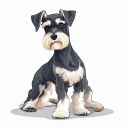 Miniature Schnauzer