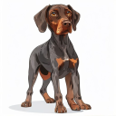 German Shorthaired Pointer