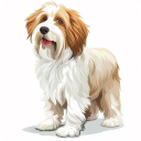 Old English Sheepdog