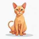 Korat