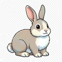 Flemish Giant