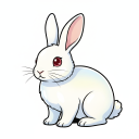 Satin Rabbit