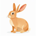 Palomino Rabbit