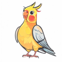 Cockatiel