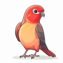 Lovebird