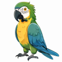 Eclectus Parrot