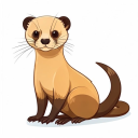 Sable Ferret