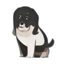 Basset Hound