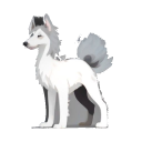 Borzoi