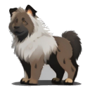 Leonberger