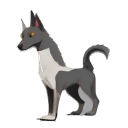 Pharaoh Hound