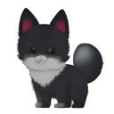 Schipperke