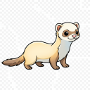 Ferret