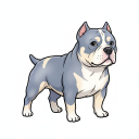 American Bully