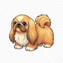 Pekingese