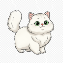 Persian Chinchilla