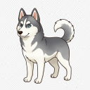 Siberian Husky