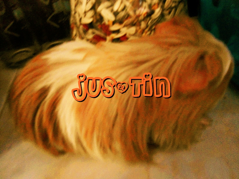 ��ʵԹ